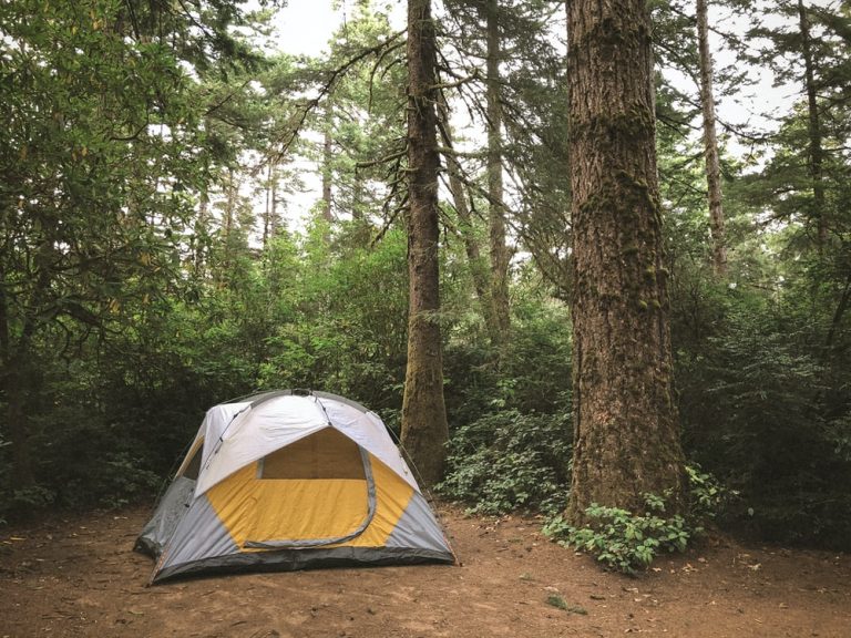 The  5 best Cheap 6 person tents
