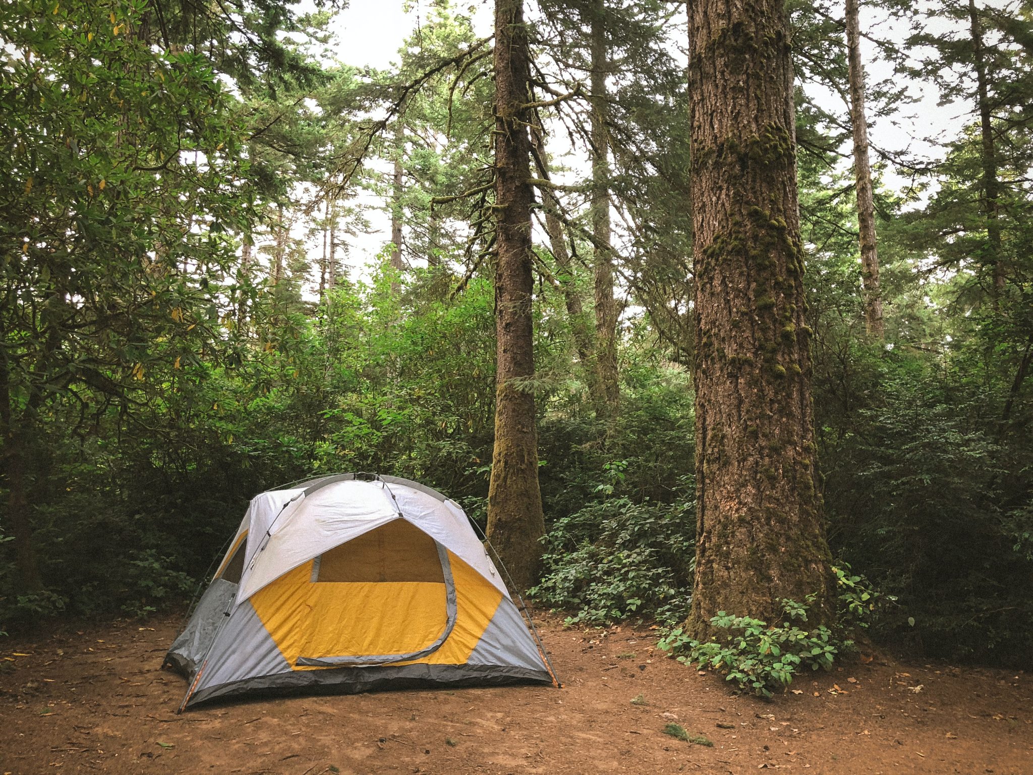 What is a Freestanding Tent? - My Traveling Tents