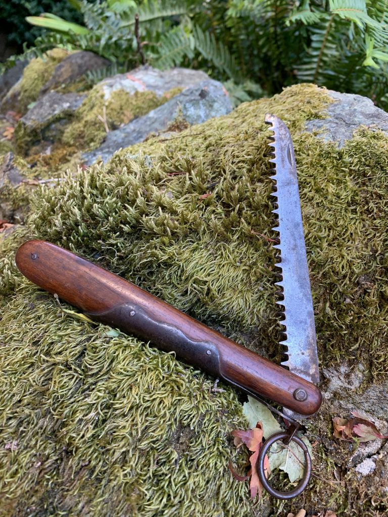 Folding Saws for Camping