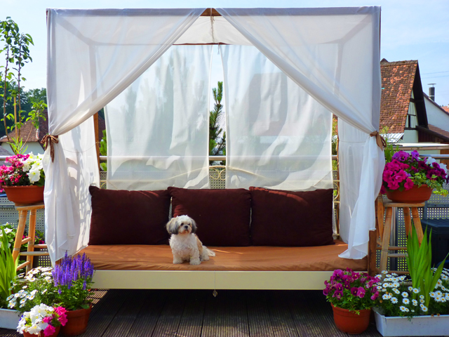 outdoor canopy tent