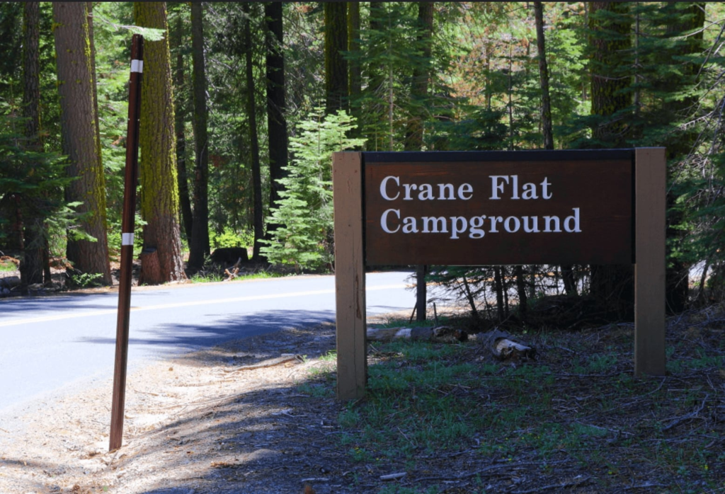 Camp In Yosemite