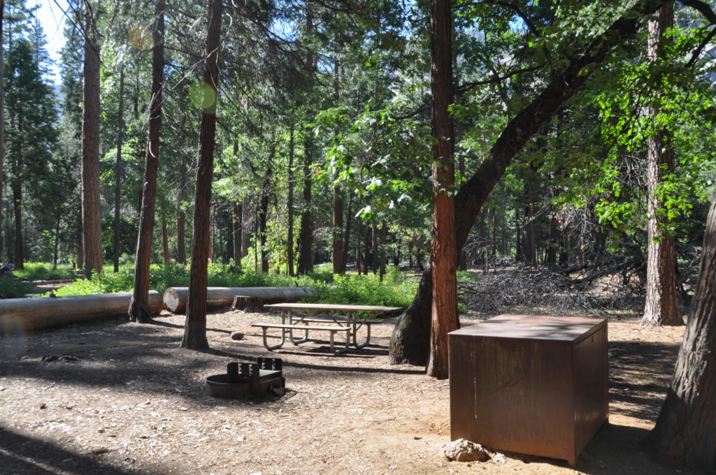 Camp In Yosemite