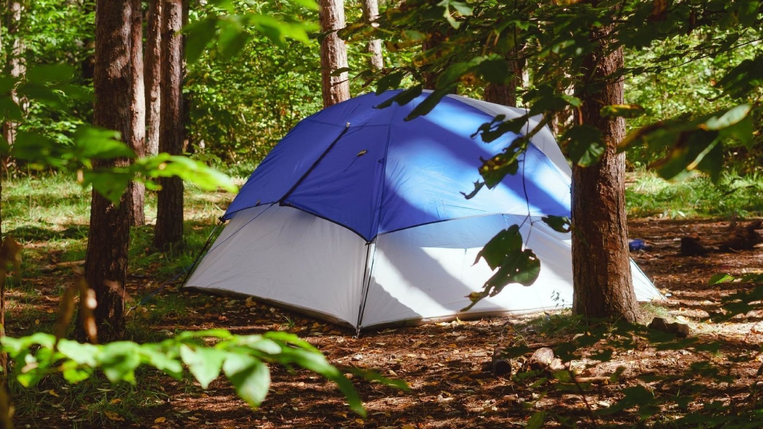 Ozark trail 3-person Dome tent review - My Traveling Tents